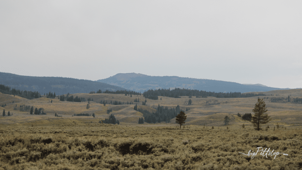 Traveling through South Dakota to Yellowstone | BIGPITTSTOP